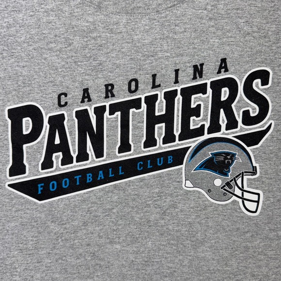 Carolina Panthers Men's Large T-Shirt 2005 Reebok Gray Cotton Blend NFL Football - Picture 4 of 12